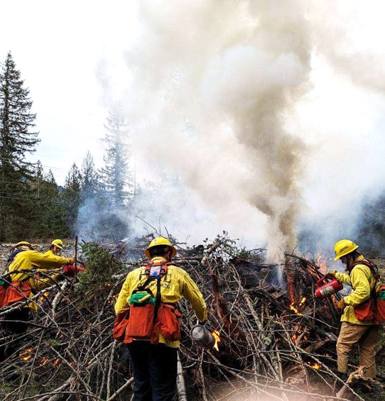 FIRE 249 Wildland Firefighting Everett Community College